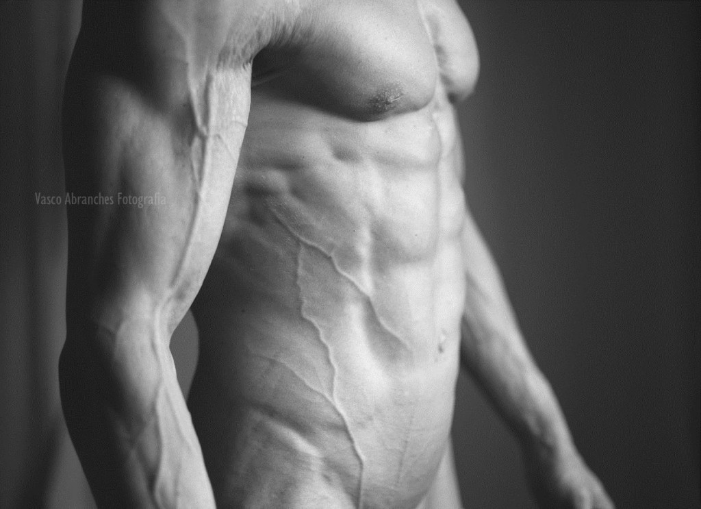 Nude Male Photography by Vasco Abranches